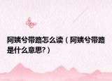 阿姨兮带路怎么读（阿姨兮带路是什么意思?）