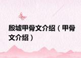 殷墟甲骨文介绍（甲骨文介绍）