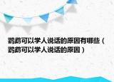 鹦鹉可以学人说话的原因有哪些（鹦鹉可以学人说话的原因）