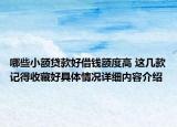 哪些小额贷款好借钱额度高 这几款记得收藏好具体情况详细内容介绍