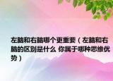 左脑和右脑哪个更重要（左脑和右脑的区别是什么 你属于哪种思维优势）