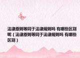 法律原则等同于法律规则吗 有哪些区别呢（法律原则等同于法律规则吗 有哪些区别）