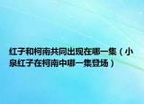 红子和柯南共同出现在哪一集（小泉红子在柯南中哪一集登场）