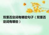 双重否定词有哪些句子（双重否定词有哪些）