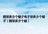 钢琴多少个键子电子琴多少个键子（钢琴多少个键）
