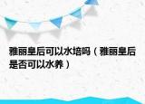 雅丽皇后可以水培吗（雅丽皇后是否可以水养）
