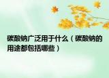 碳酸钠广泛用于什么（碳酸钠的用途都包括哪些）