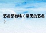 艺名都有啥（常见的艺名）