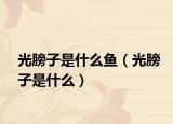 光膀子是什么鱼（光膀子是什么）