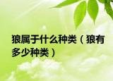 狼属于什么种类（狼有多少种类）