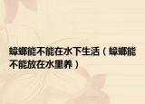 蟑螂能不能在水下生活（蟑螂能不能放在水里养）