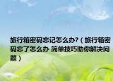 旅行箱密码忘记怎么办?（旅行箱密码忘了怎么办 简单技巧助你解决问题）