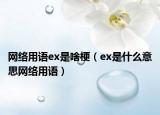 网络用语ex是啥梗（ex是什么意思网络用语）