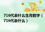 716代表什么生肖数字（716代表什么）
