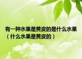 有一种水果是黄皮的是什么水果（什么水果是黄皮的）