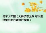 鼻子大咋整（大鼻子怎么办 可以选择整形的方式进行改善）