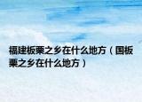 福建板栗之乡在什么地方（国板栗之乡在什么地方）