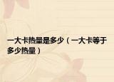 一大卡热量是多少（一大卡等于多少热量）