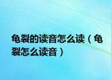 龟裂的读音怎么读（龟裂怎么读音）