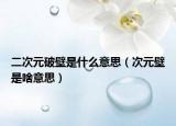 二次元破壁是什么意思（次元壁是啥意思）