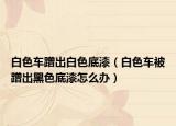 白色车蹭出白色底漆（白色车被蹭出黑色底漆怎么办）