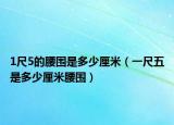 1尺5的腰围是多少厘米（一尺五是多少厘米腰围）