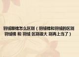 羽绒跟棉怎么区别（羽绒棉和羽绒的区别 羽绒棉 和 羽绒 区别很大 别再上当了）