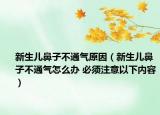 新生儿鼻子不通气原因（新生儿鼻子不通气怎么办 必须注意以下内容）