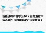 音箱没有声音怎么办?（音箱没有声音怎么办 原因和解决方法是什么）
