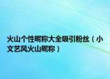 火山个性昵称大全吸引粉丝（小文艺风火山昵称）