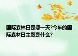 国际森林日是哪一天?今年的国际森林日主题是什么?