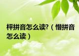 枰拼音怎么读?（憯拼音怎么读）