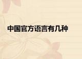 中国官方语言有几种