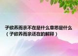 子欲养而亲不在是什么意思是什么（子欲养而亲还在的解释）