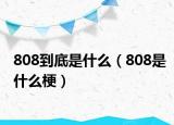 808到底是什么（808是什么梗）