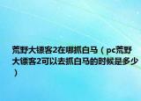 荒野大镖客2在哪抓白马（pc荒野大镖客2可以去抓白马的时候是多少）