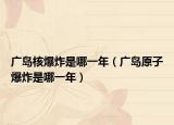 广岛核爆炸是哪一年（广岛原子爆炸是哪一年）