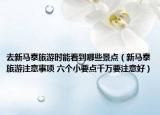 去新马泰旅游时能看到哪些景点（新马泰旅游注意事项 六个小要点千万要注意好）