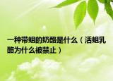 一种带蛆的奶酪是什么（活蛆乳酪为什么被禁止）