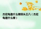 杰尼龟是什么梗蒜头王八（杰尼龟是什么梗）