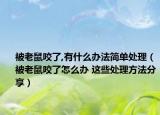 被老鼠咬了,有什么办法简单处理（被老鼠咬了怎么办 这些处理方法分享）