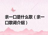 亲一口是什么歌（亲一口歌词介绍）
