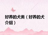 好养的犬类（好养的犬介绍）