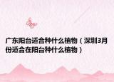 广东阳台适合种什么植物（深圳3月份适合在阳台种什么植物）