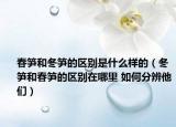春笋和冬笋的区别是什么样的（冬笋和春笋的区别在哪里 如何分辨他们）