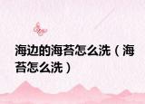 海边的海苔怎么洗（海苔怎么洗）