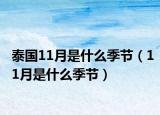 泰国11月是什么季节（11月是什么季节）