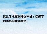 送儿子水杯刻什么字好（送侄子的水杯刻啥字合适）