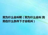 狗为什么会叫呢（狗为什么会叫 狗狗在什么条件下才会吼叫）