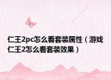 仁王2pc怎么看套装属性（游戏仁王2怎么看套装效果）